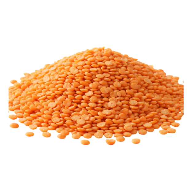 Lentils & Beans